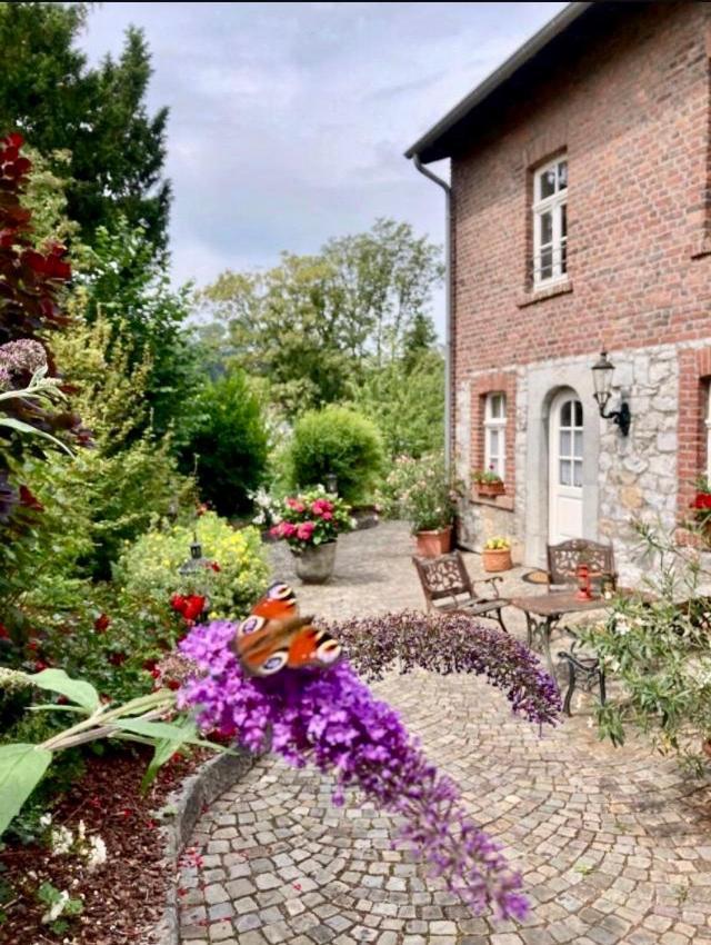 Haus Bergstrasse Lägenhet Stolberg  Exteriör bild