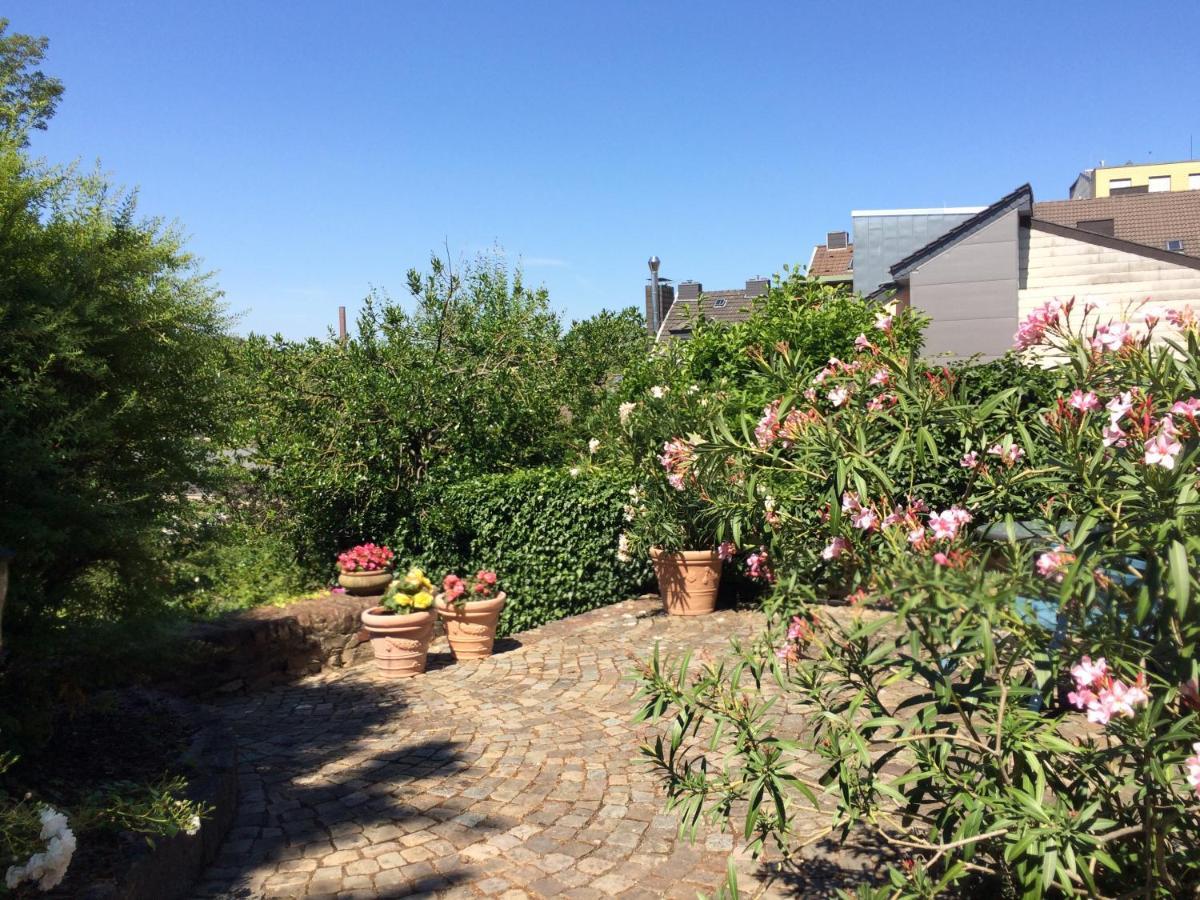 Haus Bergstrasse Lägenhet Stolberg  Exteriör bild